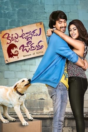Kittu Unnadu Jagratha 2017 Hindi Dual Audio | Hindi Dubbed Movie UnCut HDRip 400MB