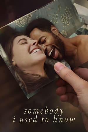 Somebody I Used to Know 2023 Hindi Dual Audio HDRip | Hindi Dubbed Movie – 480p